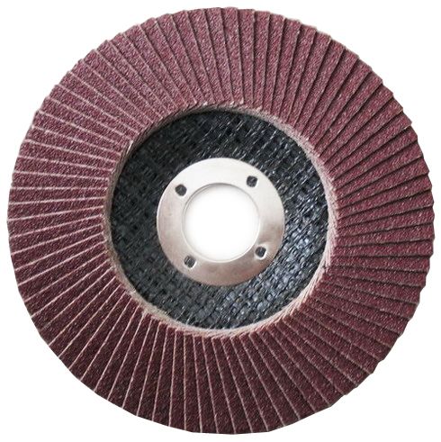 Disco Flap 10 peças